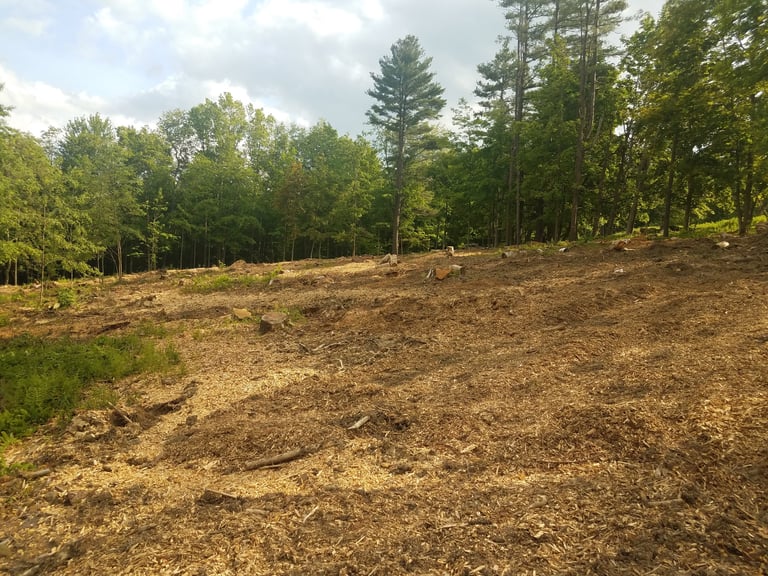 Clean cleared land after vegetation removal ready for use