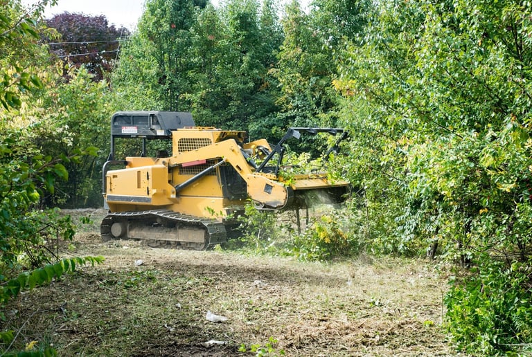 Residential property land clearing with forestry mulcher in Fraser Valley BC