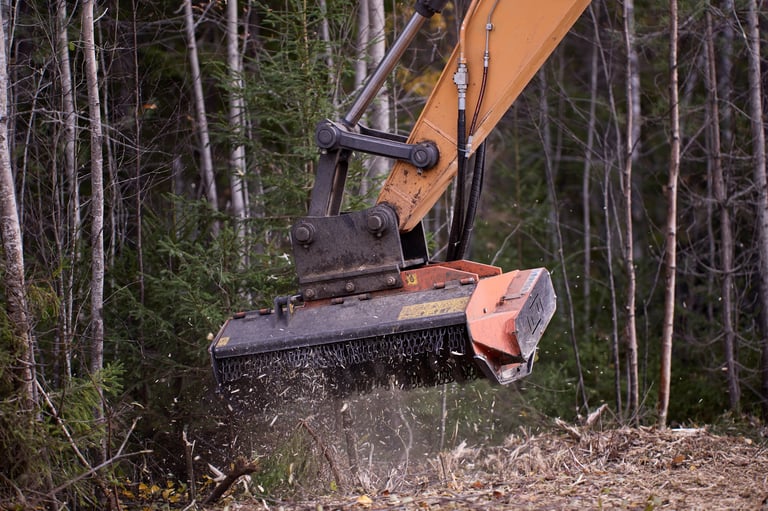 Blackberry removal service in Mission BC - invasive vegetation clearing and eradication