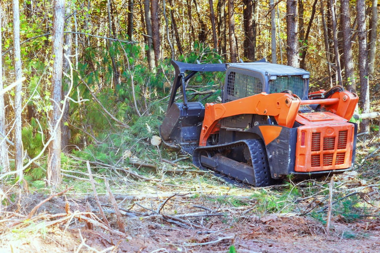 Tracked forestry mulcher working in forest
