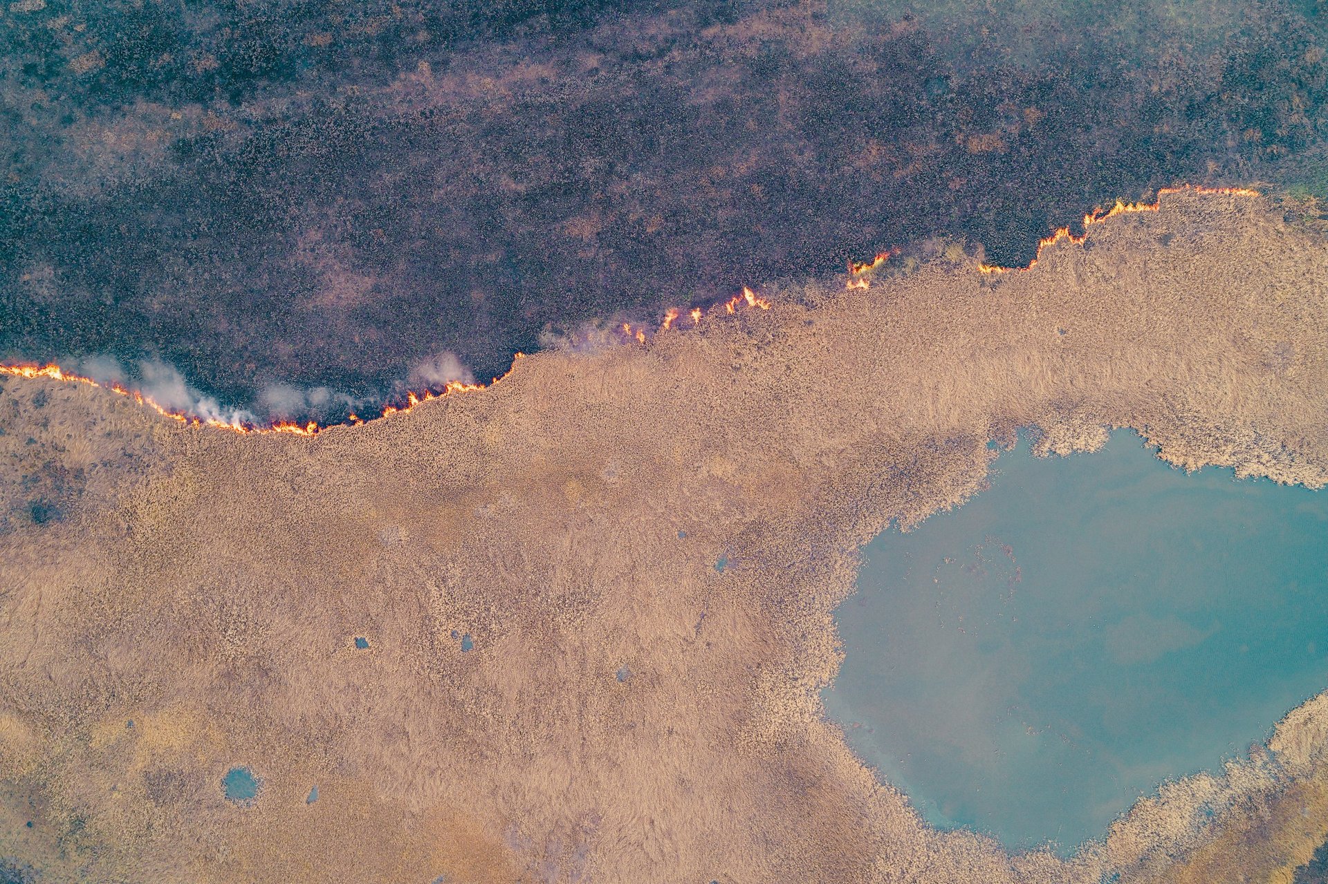 drone shot capturing a fast-spreading wildfire line across dry vegetation, contrasting with the dark, unburned areas and a small patch of water. Environmental disaster.