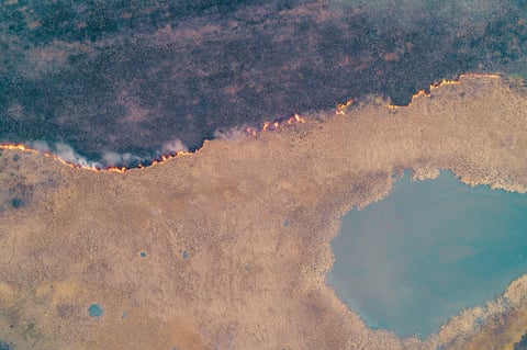 drone shot capturing a fast-spreading wildfire line across dry vegetation, contrasting with the dark, unburned areas and a small patch of water. Environmental disaster.