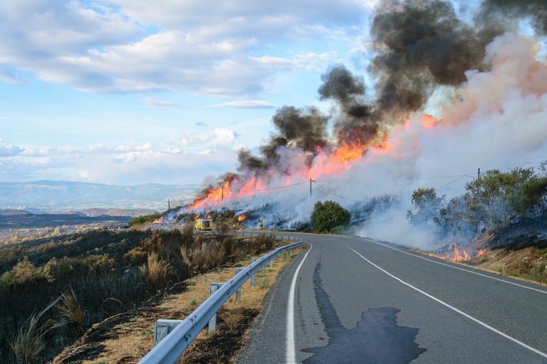 Wildfire burning close to a road, illustrating the danger of high fire risk