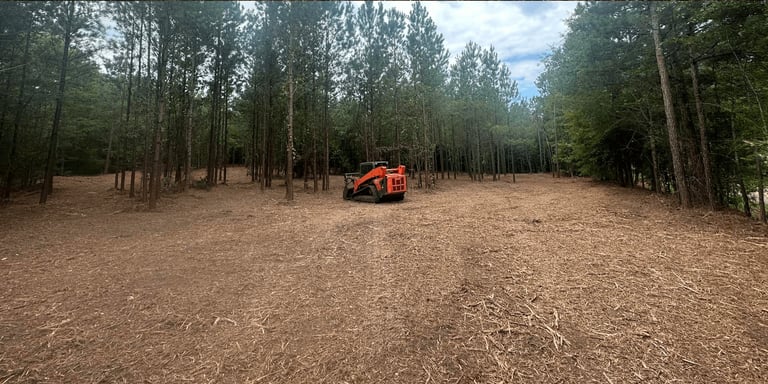 Red skid steer loader on brown forest clearing surrounded by tall pine trees