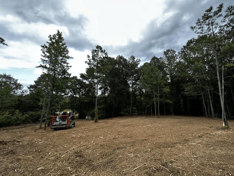 Red tractor working on cleared forest land with tall pine trees in background and overcast sky