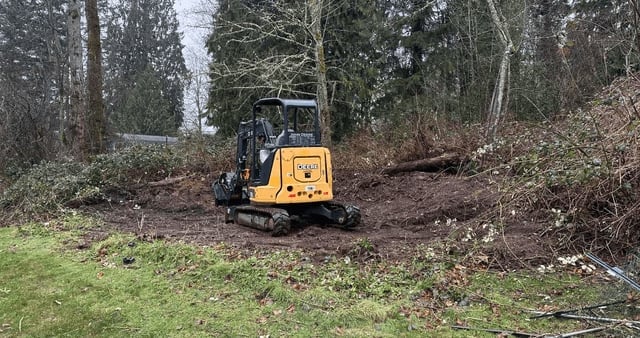 Yellow tracked mini excavator clearing vegetation and debris in a wooded forest area
