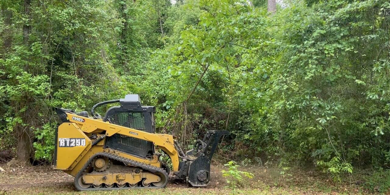 Yellow skid steer loader on forest ground surrounded by dense green trees and vegetation
